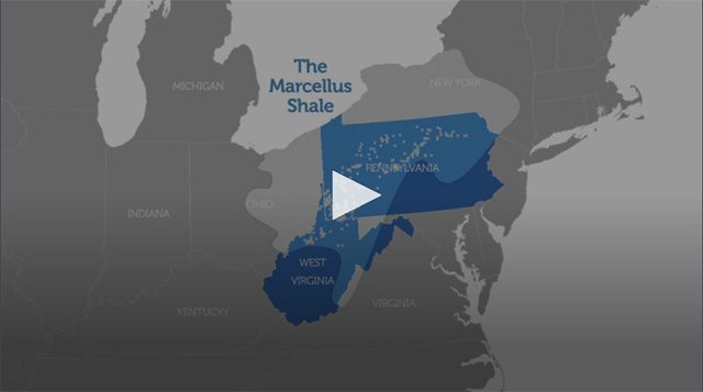 Video de Recolección en Marcellus